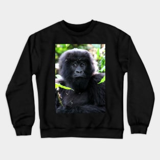 "What are you going to do to me?" Juvenile Mountain Gorilla Crewneck Sweatshirt